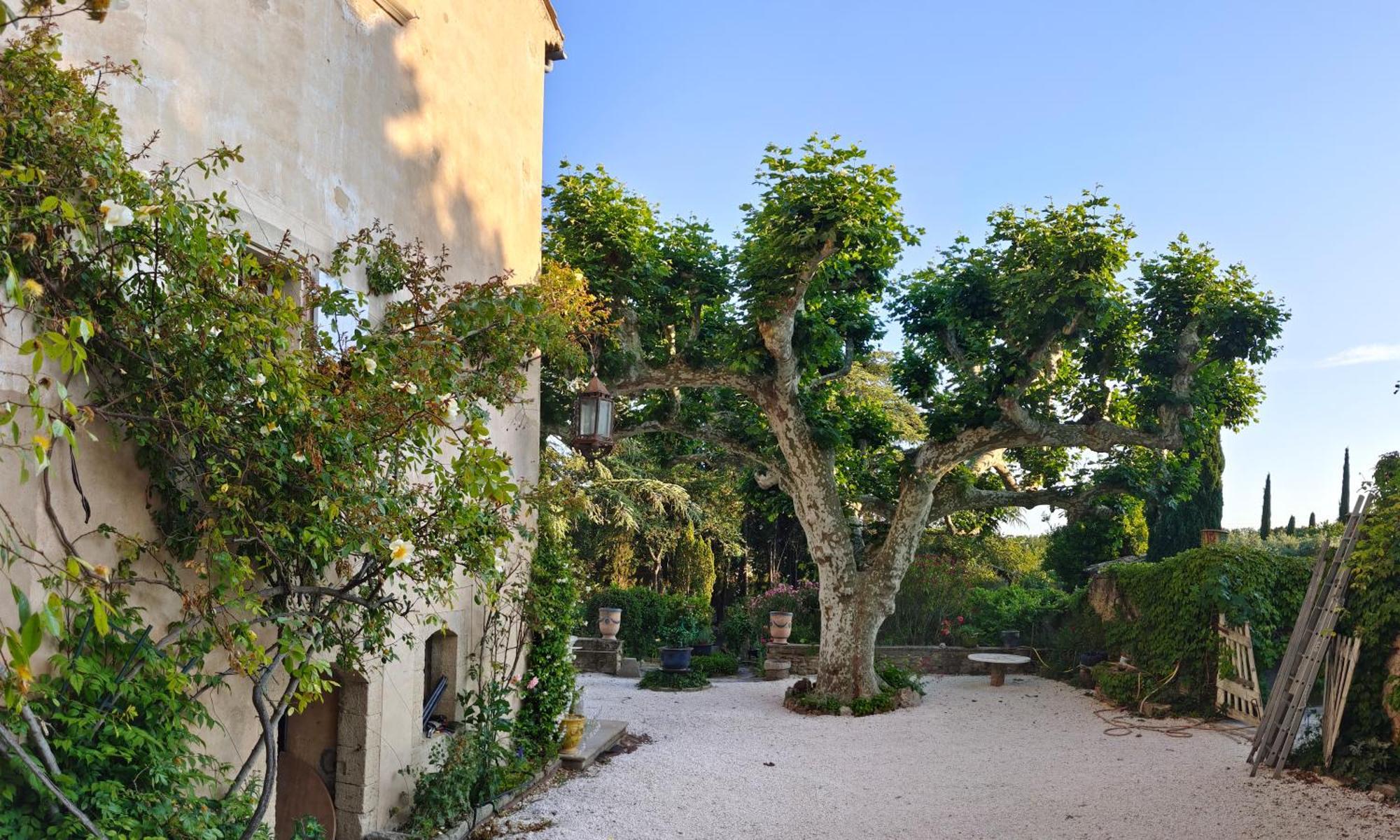 Rue Du Chateau A Cabrieres D'Avignon住宿加早餐旅馆 外观 照片