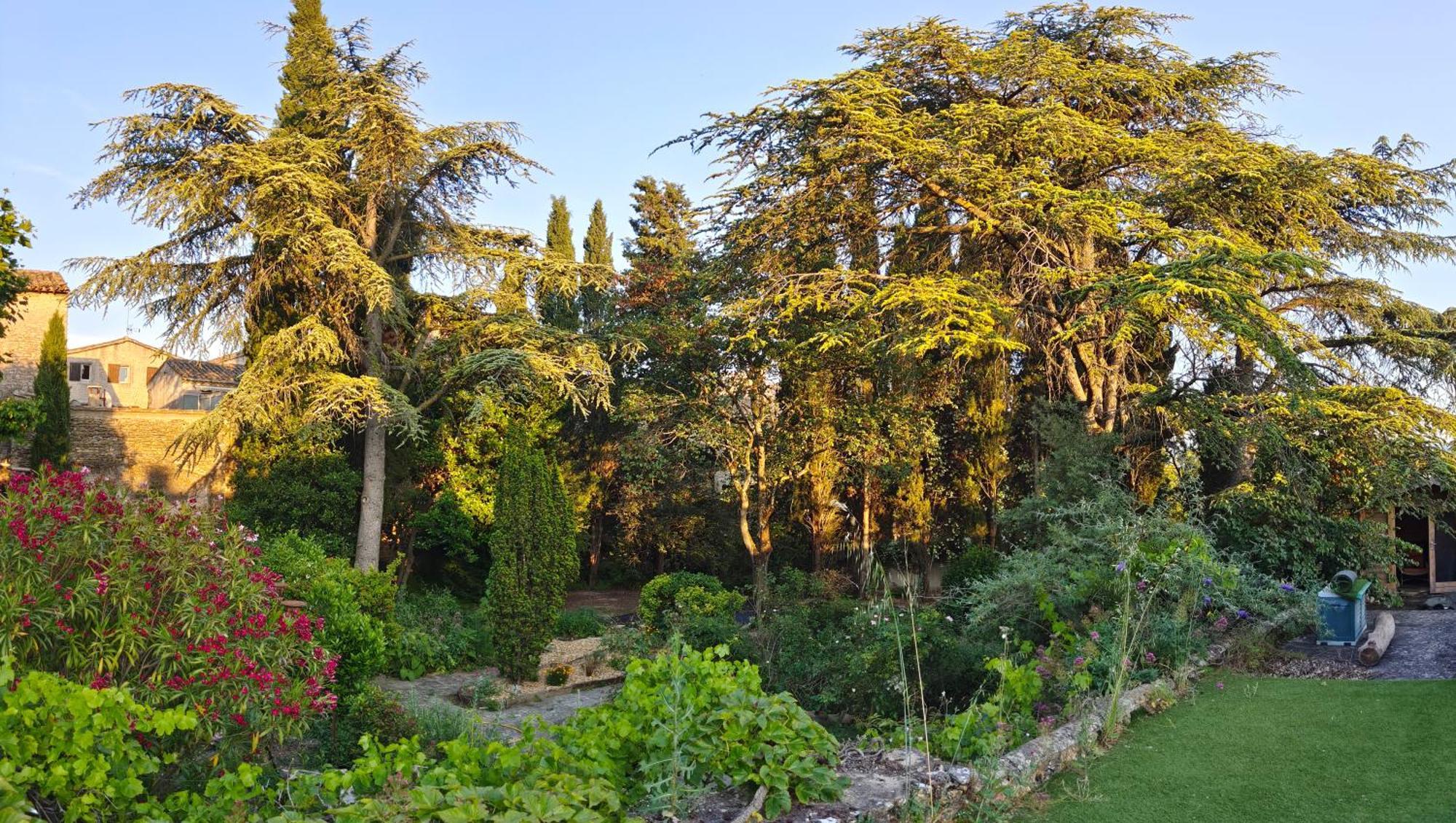 Rue Du Chateau A Cabrieres D'Avignon住宿加早餐旅馆 外观 照片